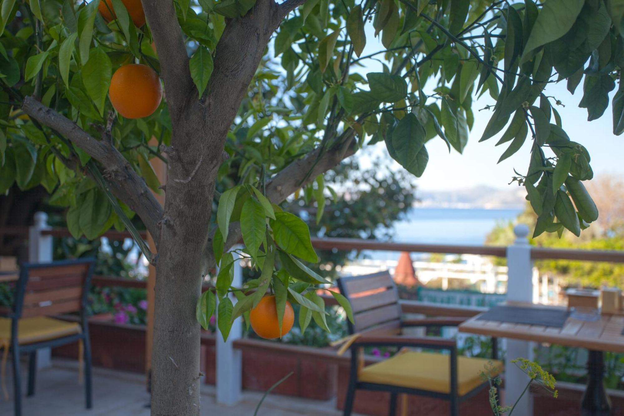 Hotel Ferah Kaş Buitenkant foto